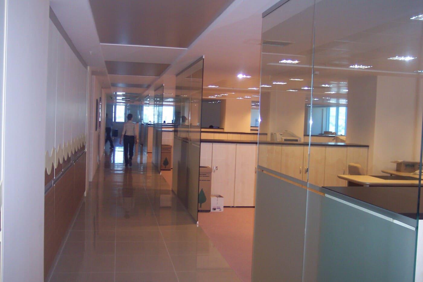 Glass Partition Systems - 2